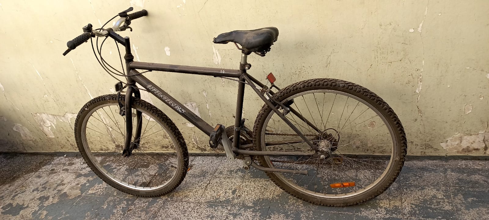 BICICLETA