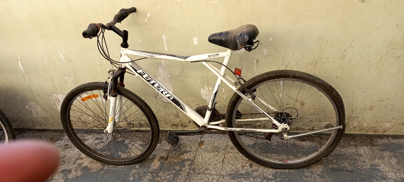 BICICLETA FUTURA