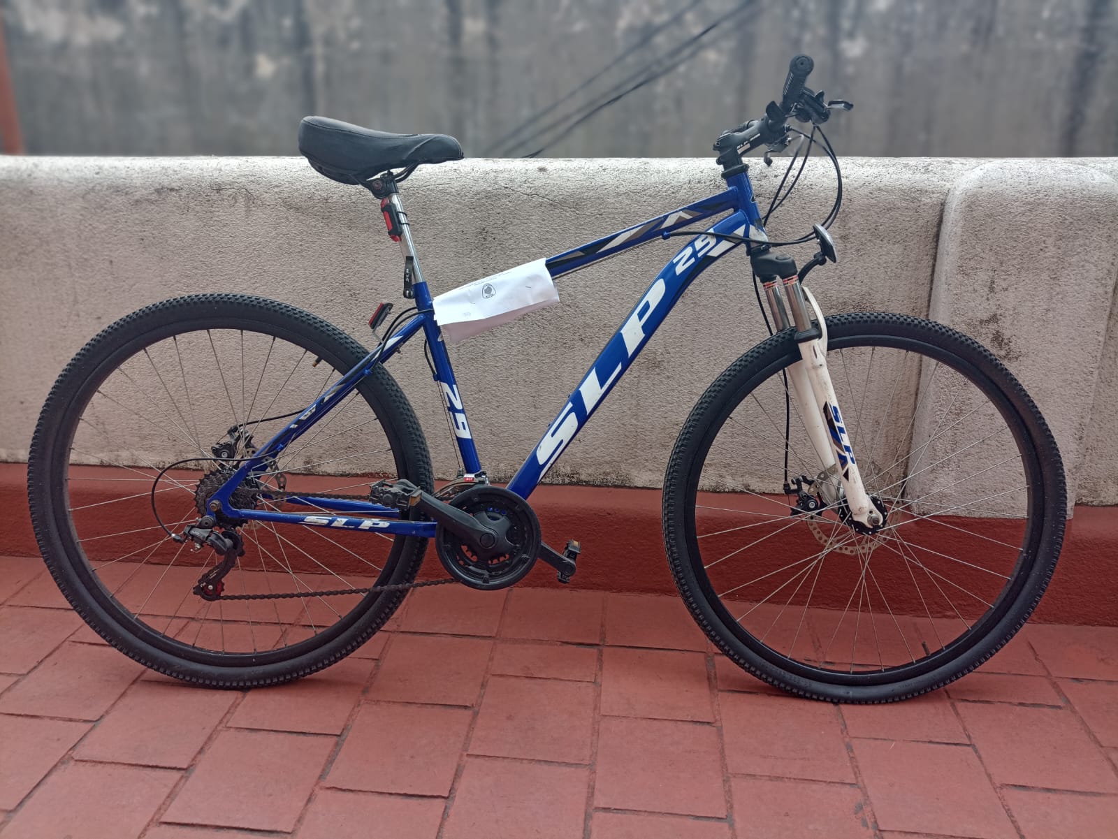 BICICLETA SLP