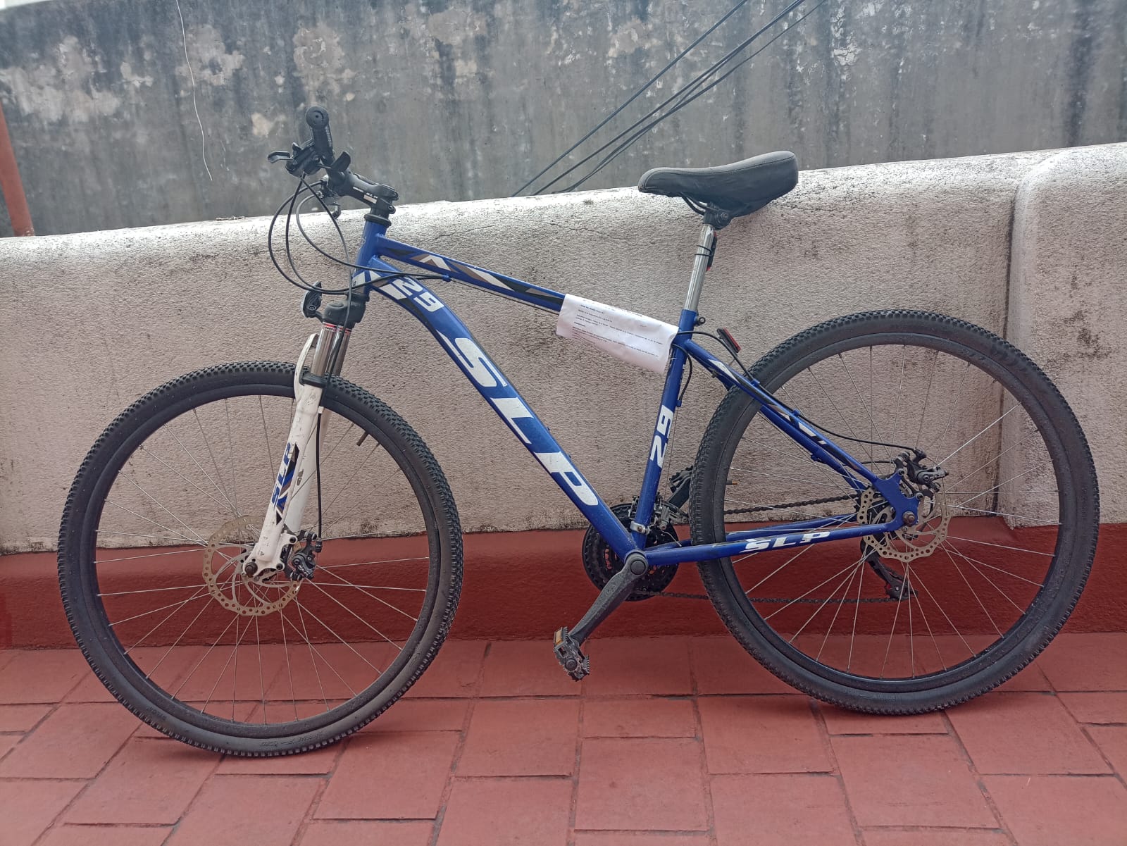BICICLETA SLP