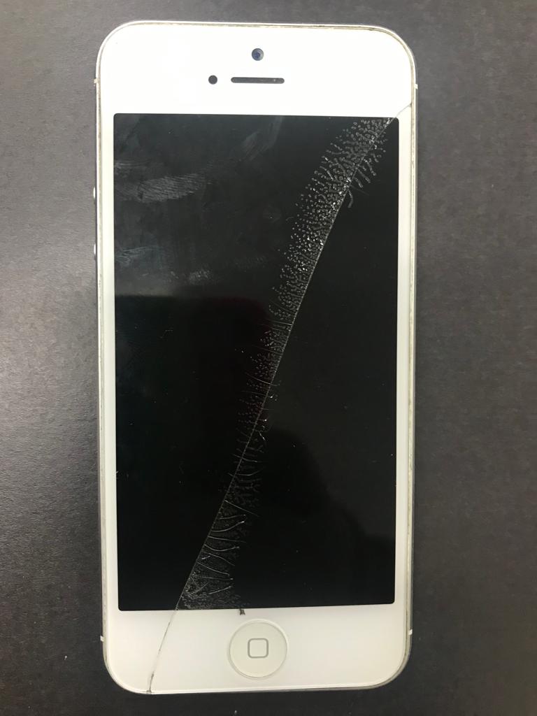 CELULAR IPHONE