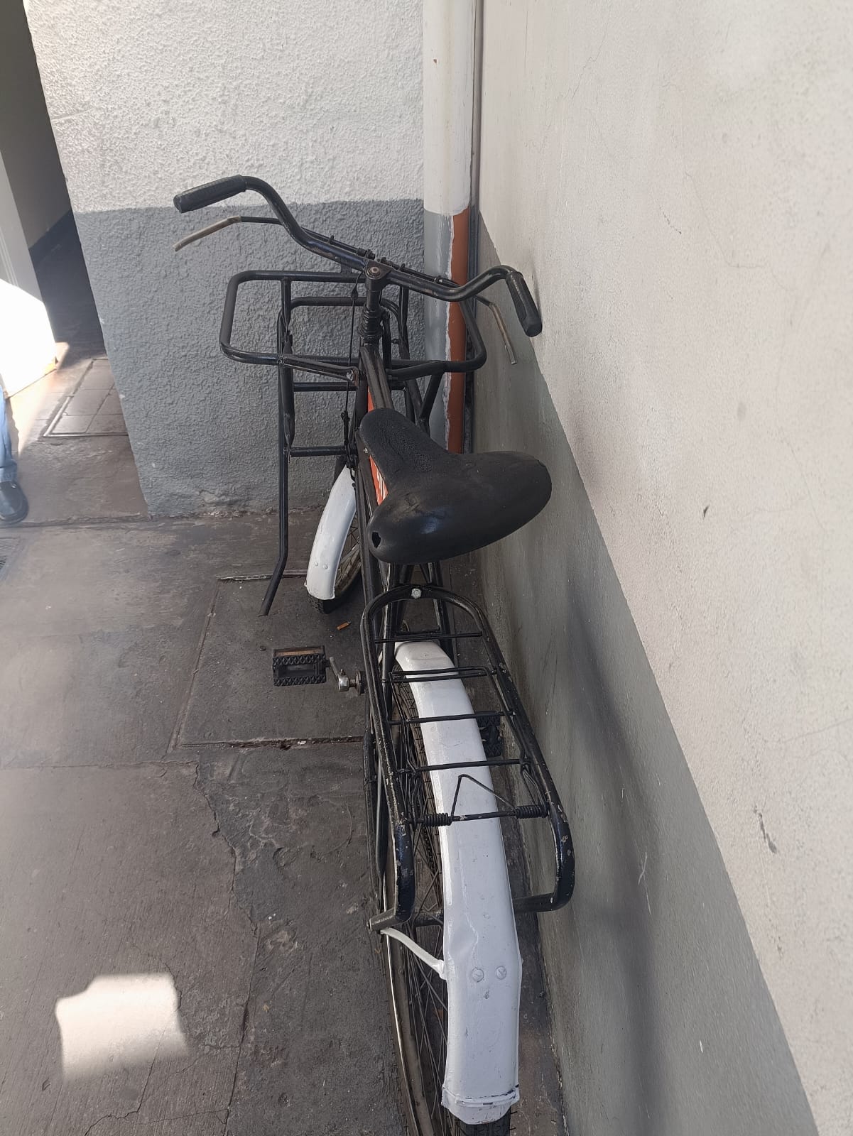 BICICLETA DE CARGA