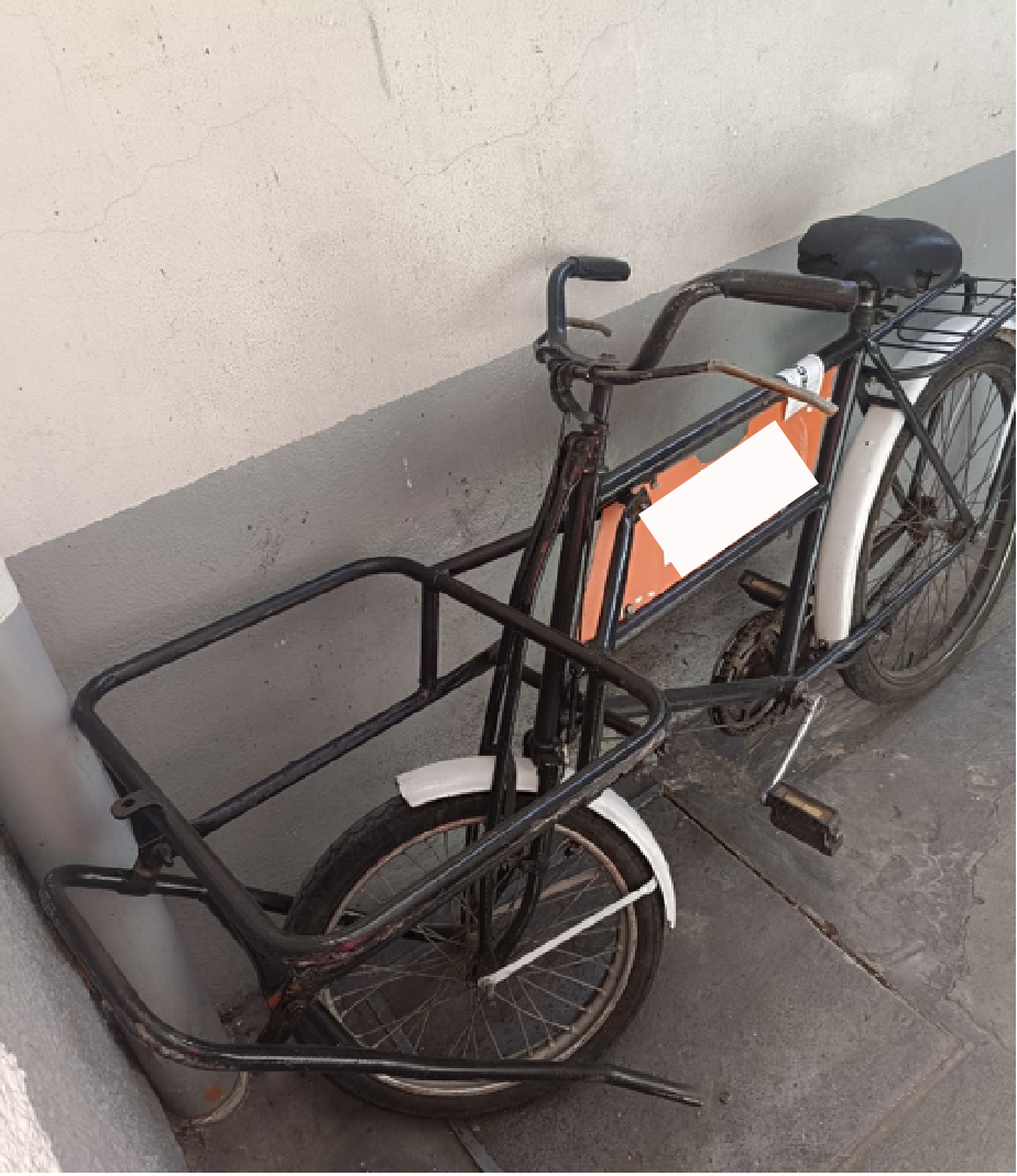 BICICLETA DE CARGA