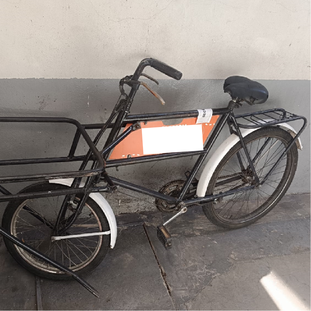 BICICLETA DE CARGA