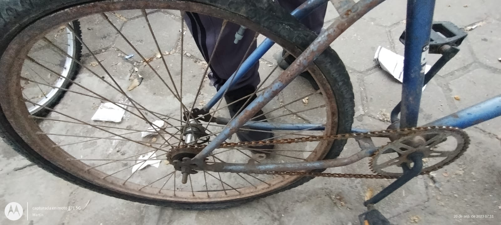 BICICLETA PLAYERA