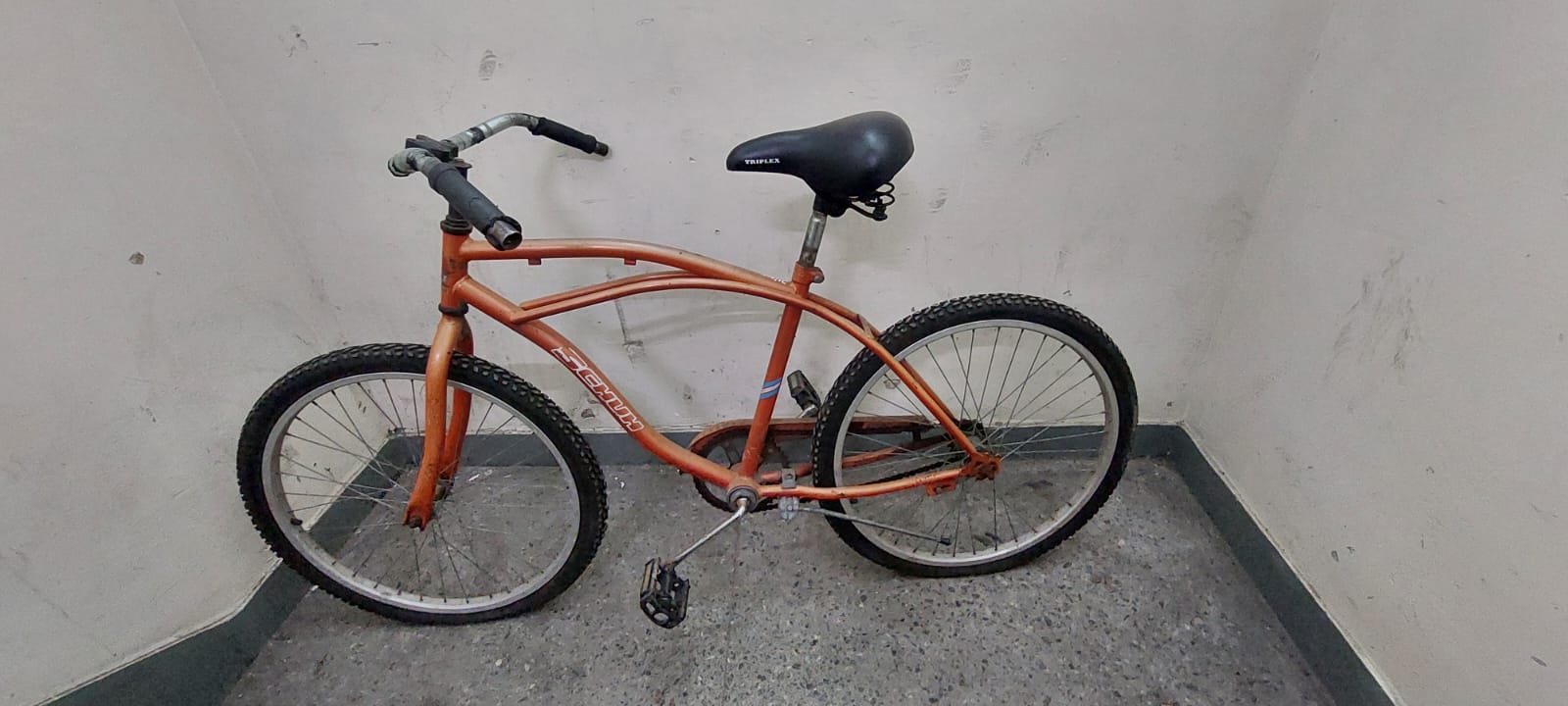 BICICLETA SCHUH