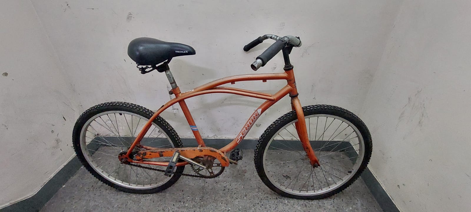 BICICLETA SCHUH