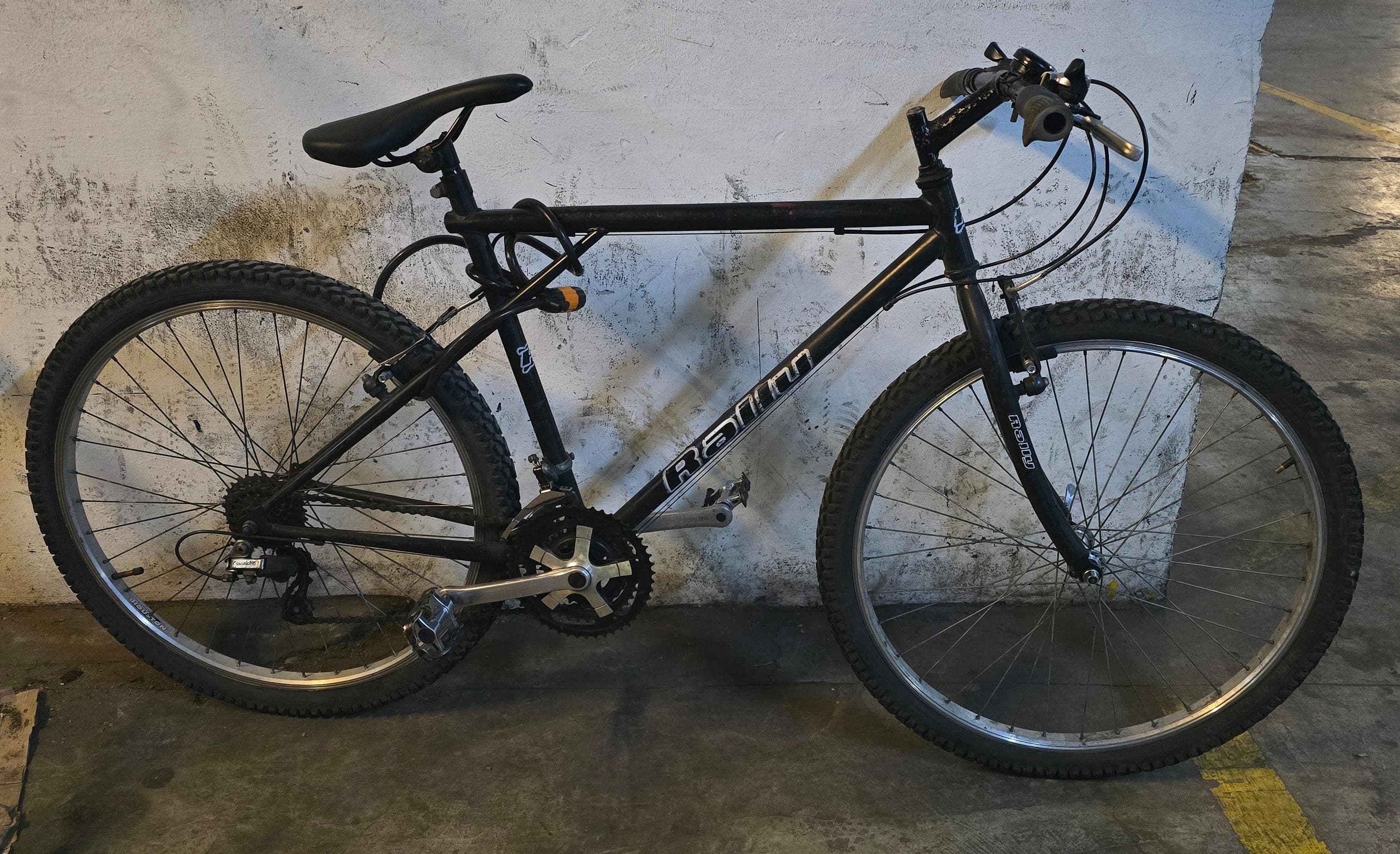BICICLETA RALLY
