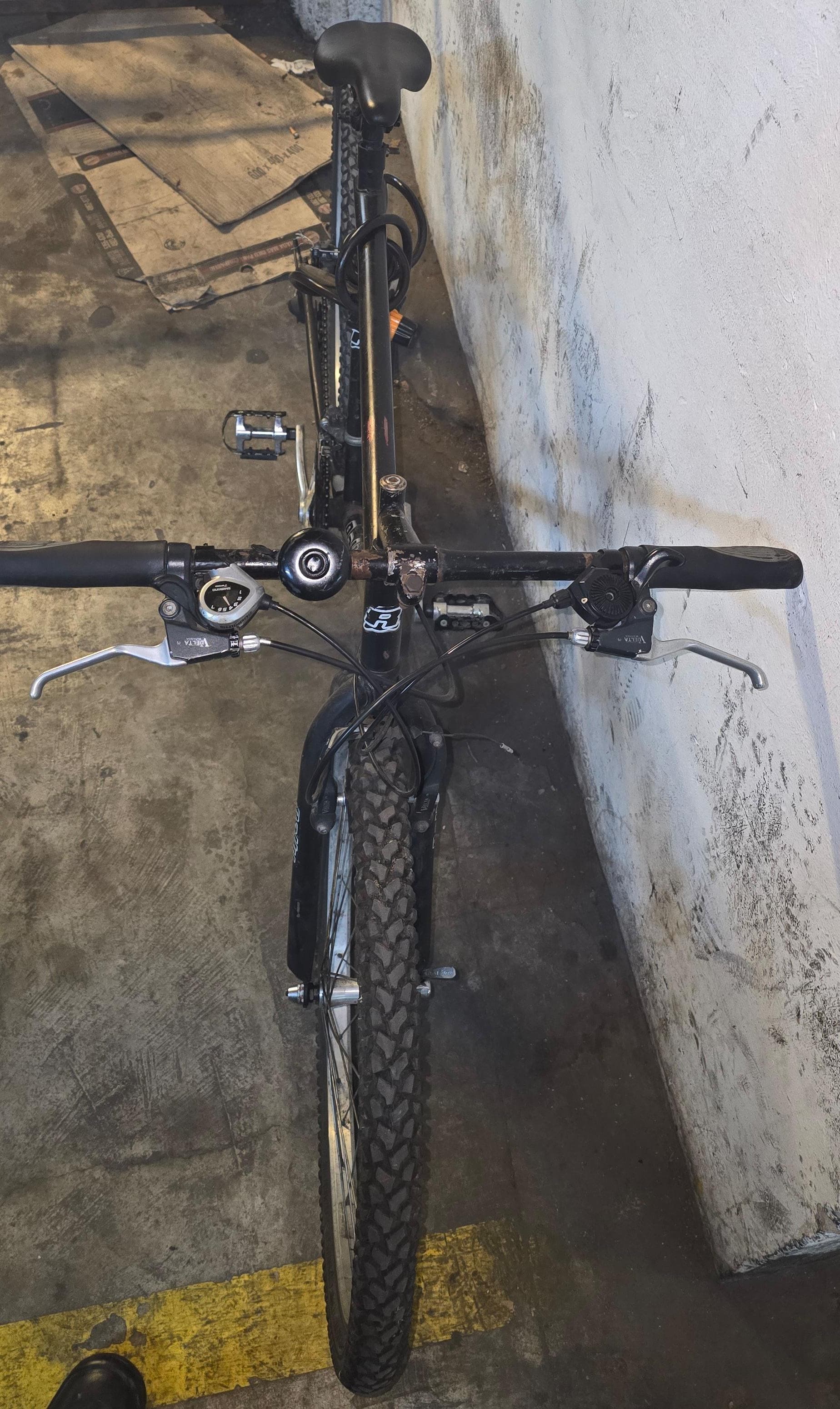 BICICLETA RALLY
