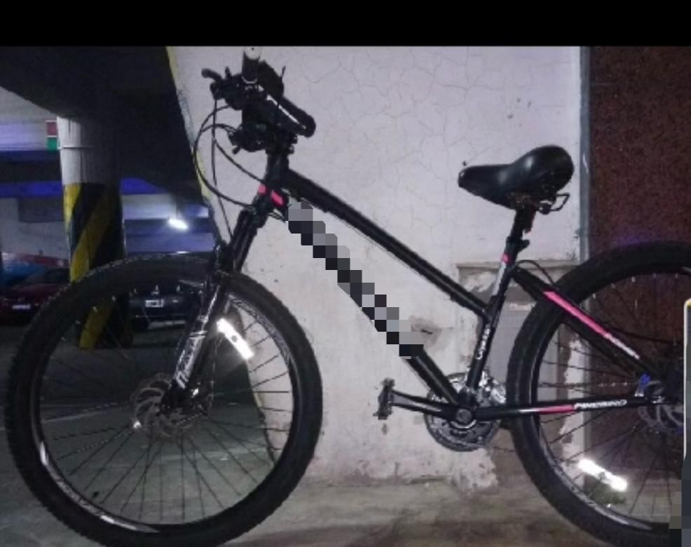 BICICLETA FIREBIRD