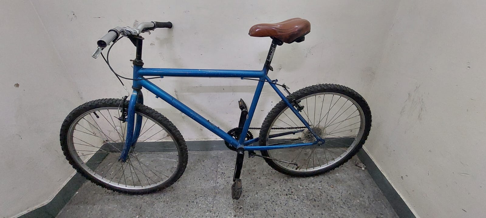 BICICLETA PLAYERA AZUL