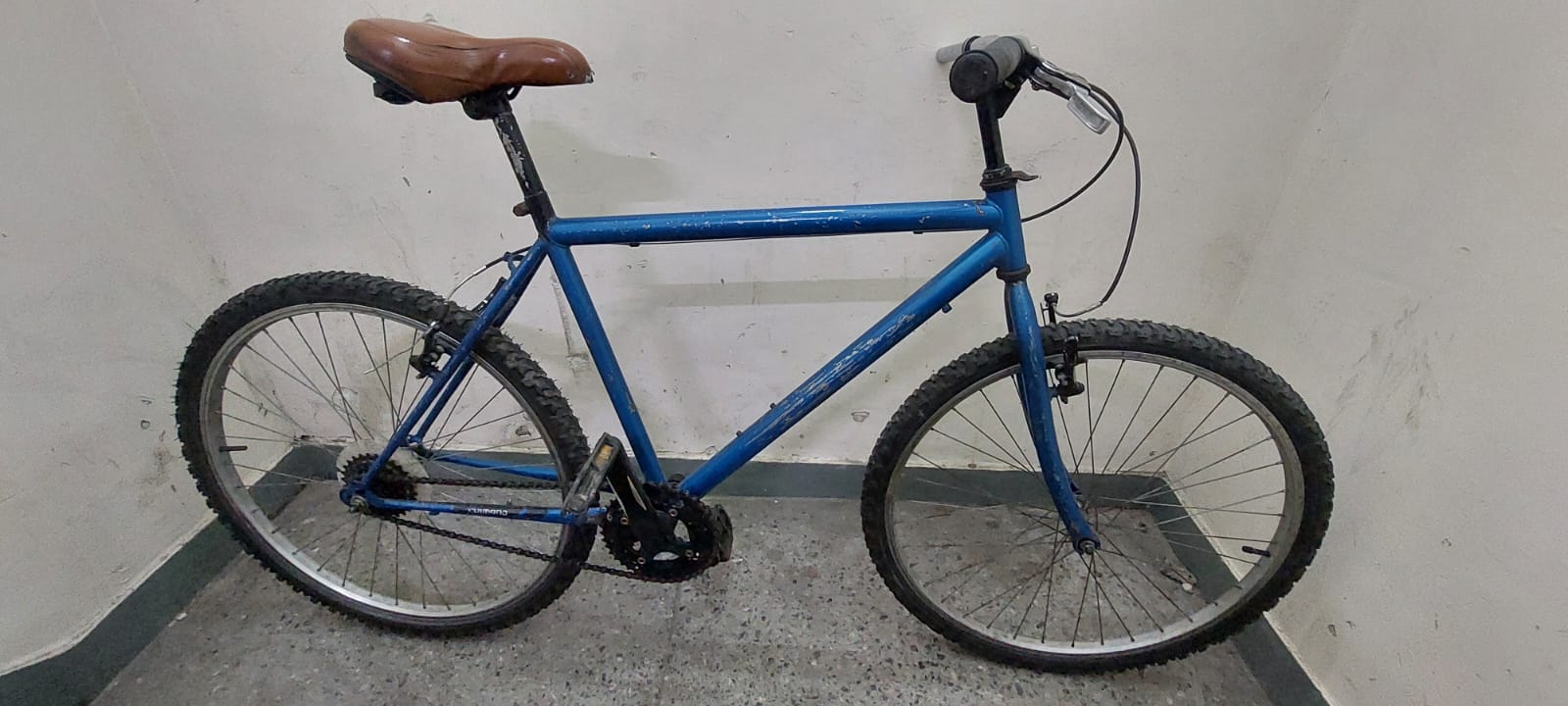 BICICLETA PLAYERA AZUL