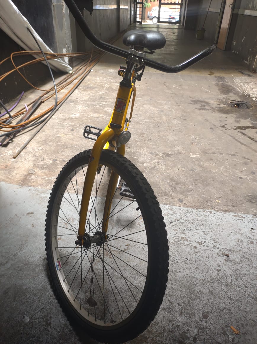 BICICLETA ROBINSON