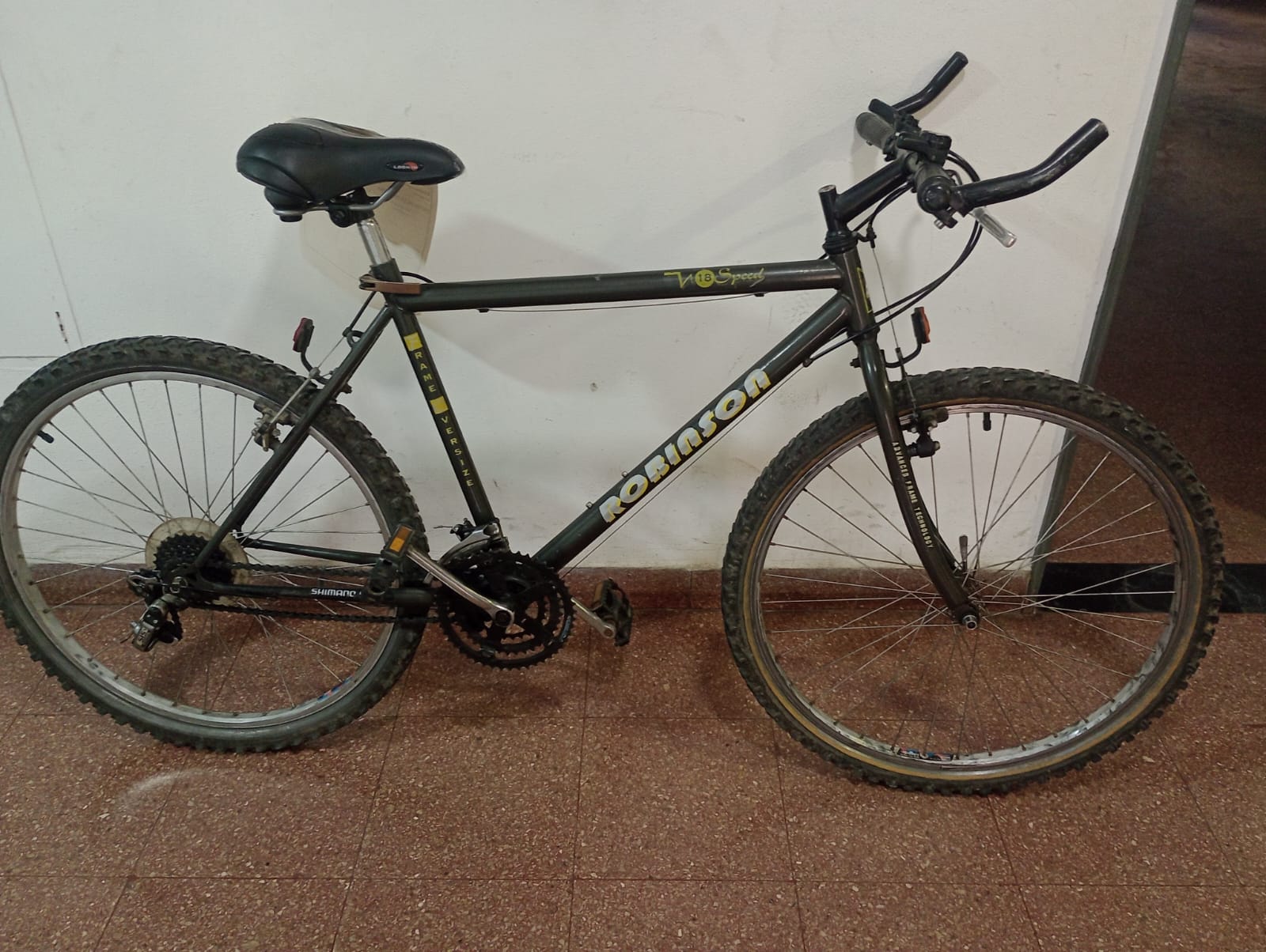 BICICLETA ROBINSON