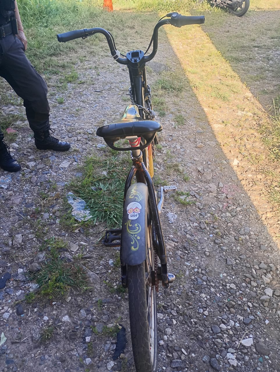 BICICLETA PASEO
