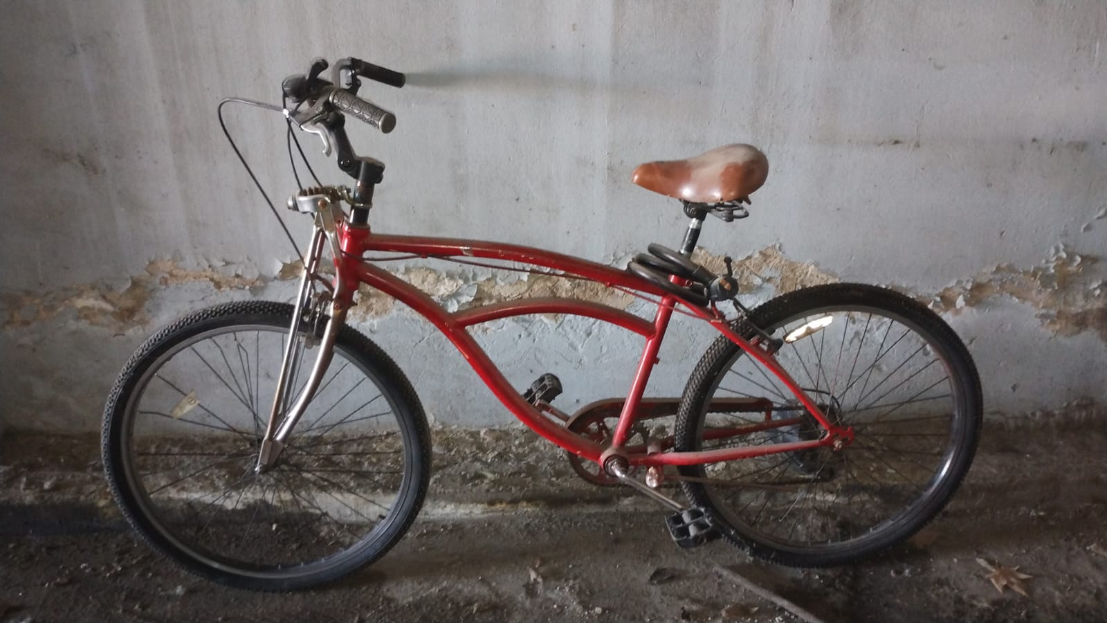 BICICLETA DE PASEO
