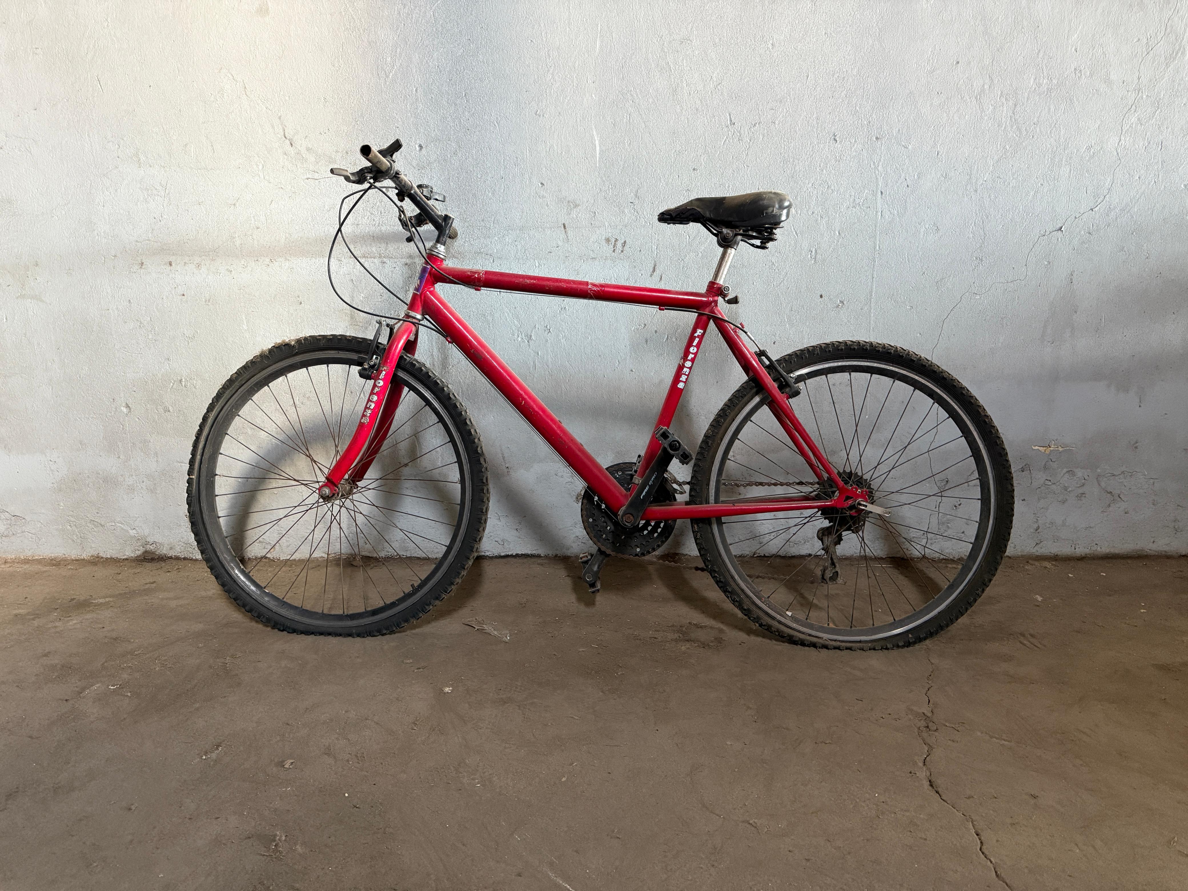 BICICLETA FIORENZA ROJA
