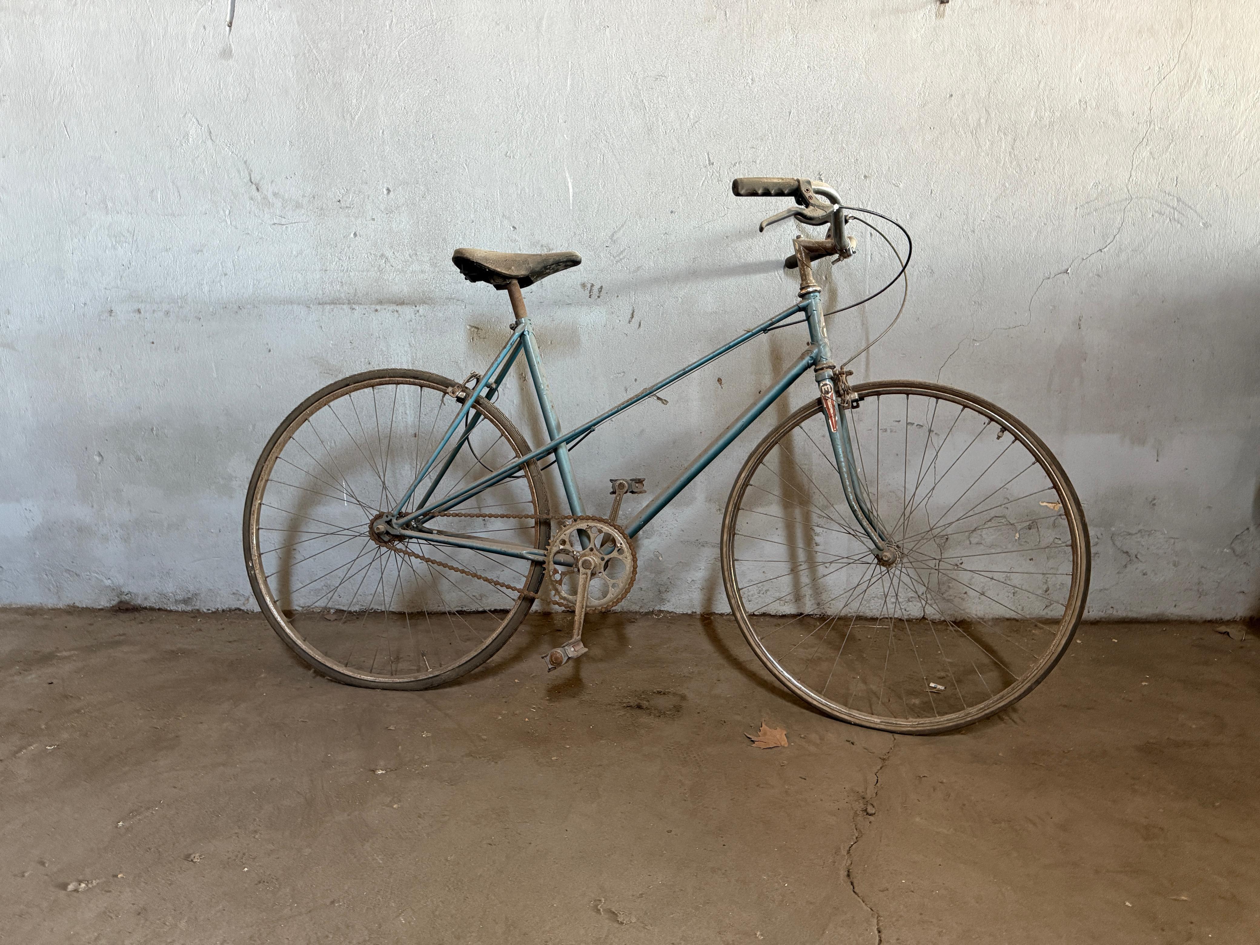 BICICLETA PASEO