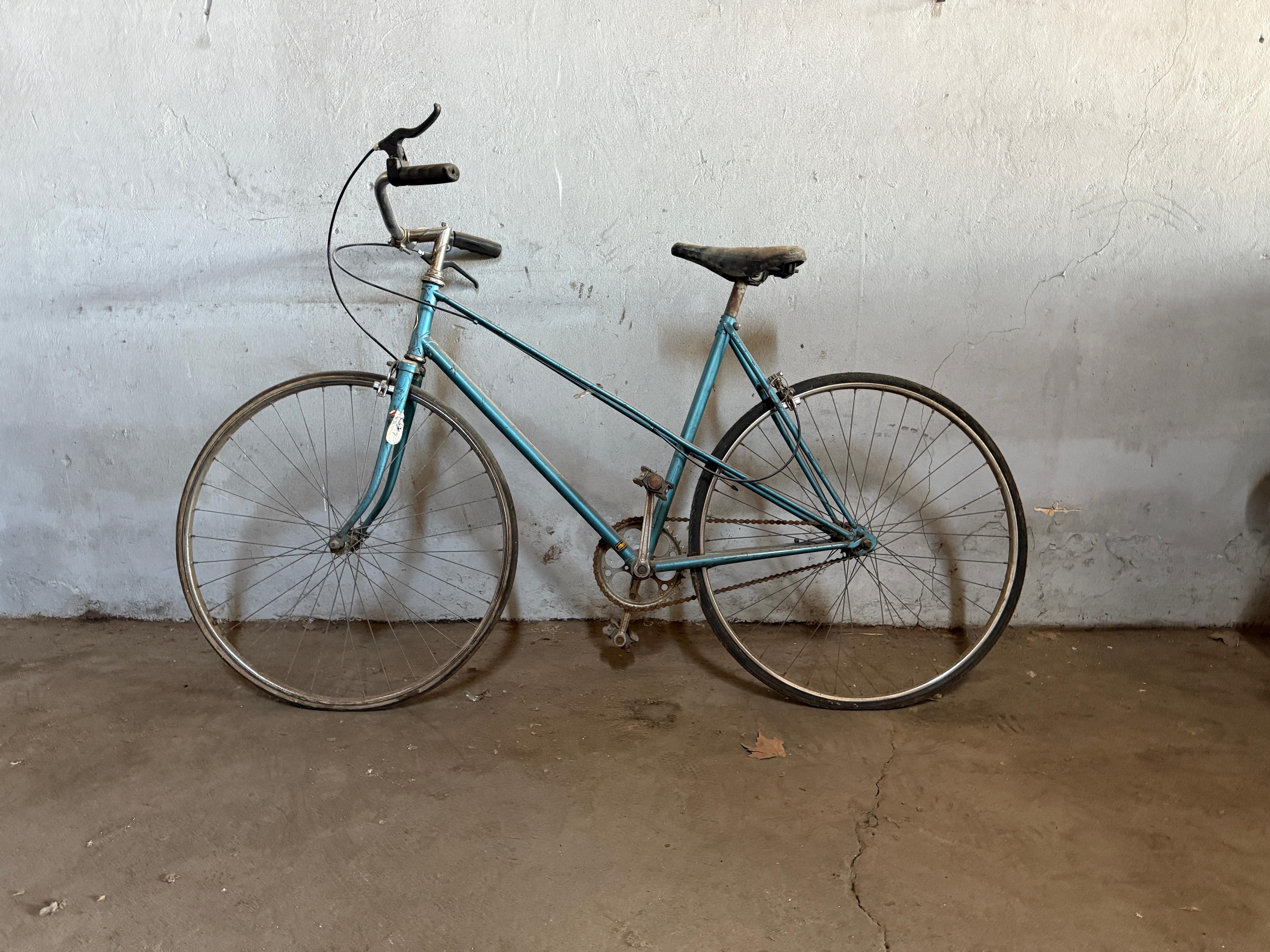 BICICLETA PASEO