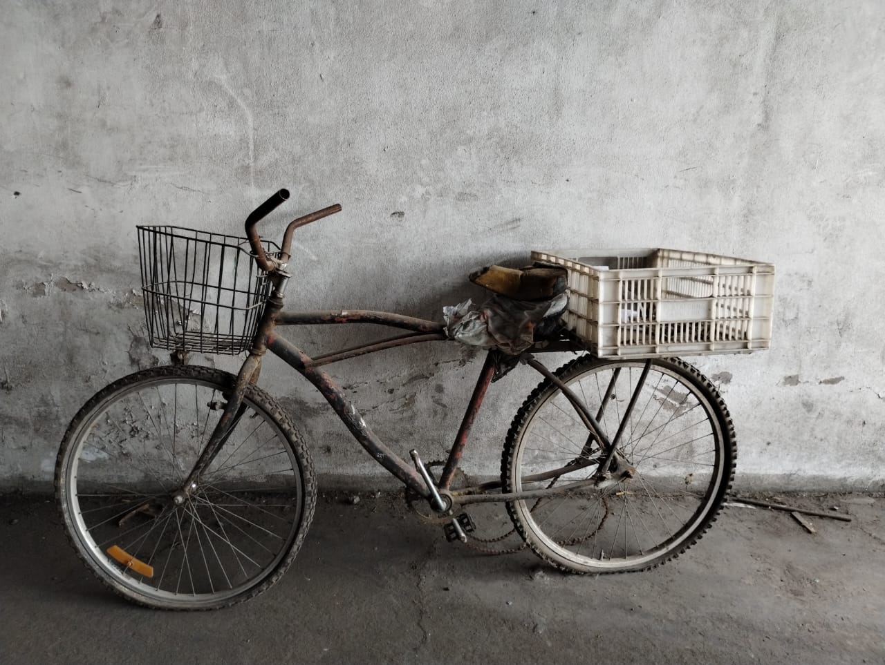 BICICLETA DE PASEO